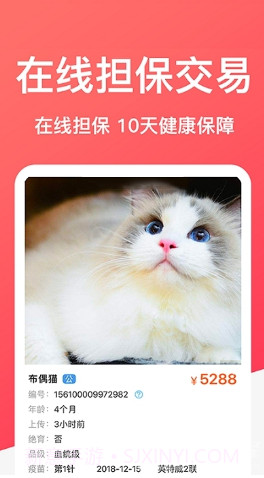 DogBreeds狗品种截图3