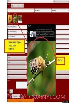 ABA自闭症教育截图1 ABA自闭症教育截图1