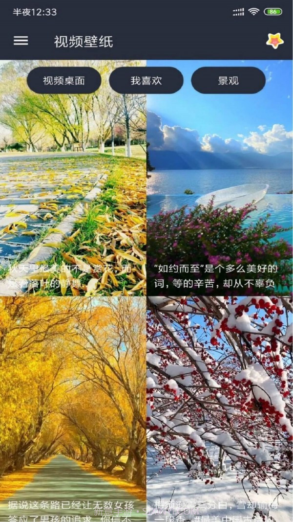 动漫视频壁纸截图3 动漫视频壁纸截图3