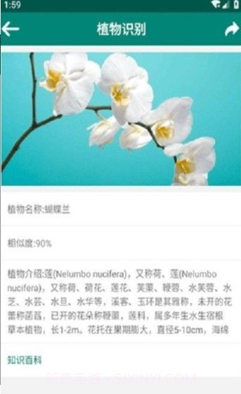 银河植物识别扫描截图2