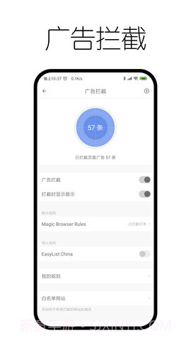 神奇浏览器截图3