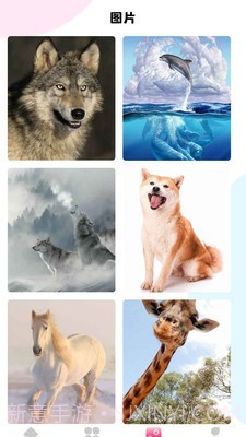 最强动物园截图4 最强动物园截图4