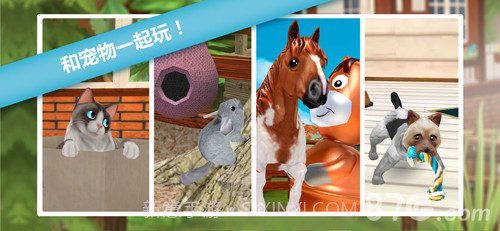 猫舍截图4 猫舍截图4