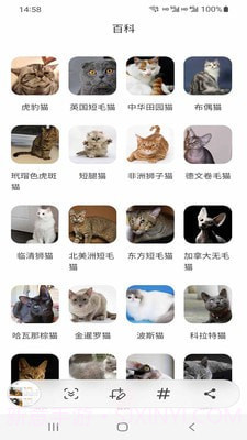 小猫先生截图1