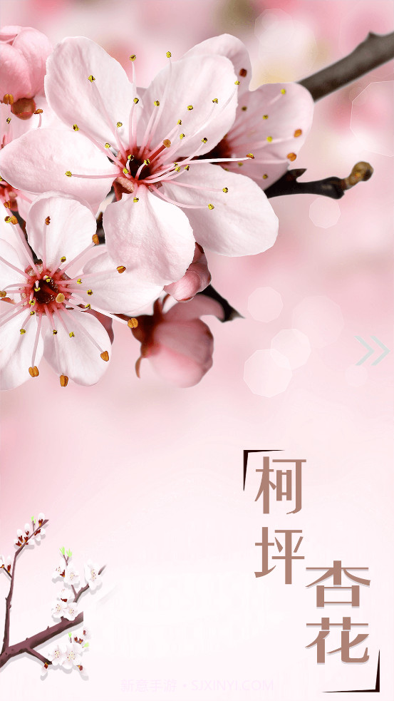 柯坪好地方截图2