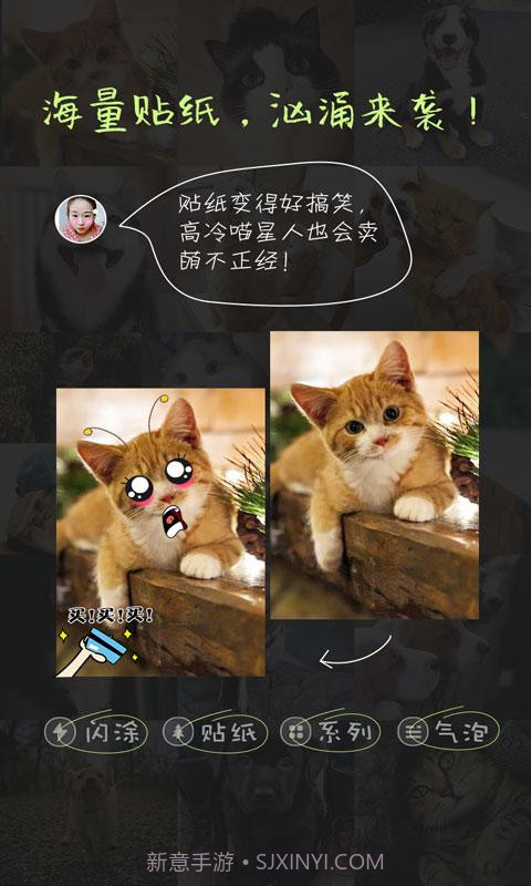 萌宠相机截图4 萌宠相机截图4