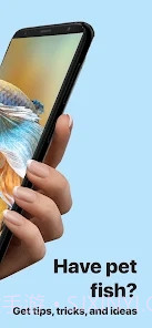 Picture Fish鱼类识别截图2