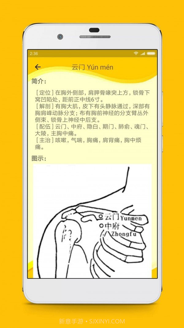 人体穴位图解软件截图3 人体穴位图解软件截图3