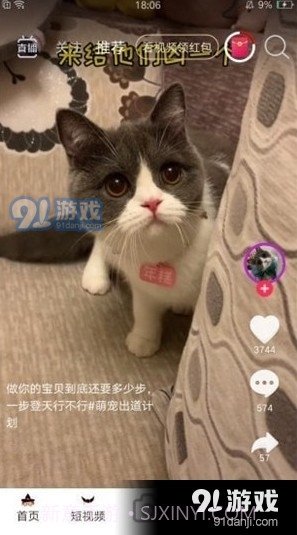 暖暖短视频截图2