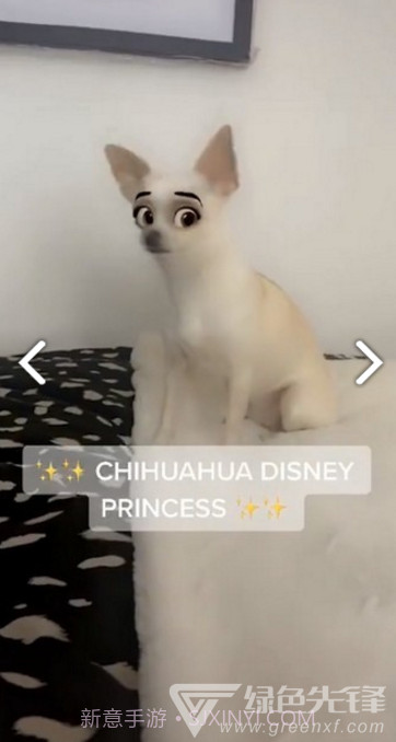 迪士尼滤镜(snapchat迪士尼滤镜)V1.1 安卓免费版截图2 迪士尼滤镜(snapchat迪士尼滤镜)V1.1 安卓免费版截图2