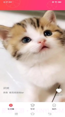 甜柚视频截图2 甜柚视频截图2