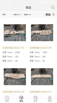 木头猎人截图2 木头猎人截图2