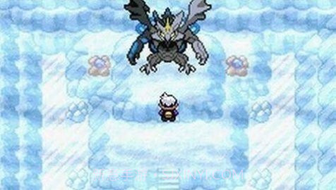 口袋妖怪解放2.0.3汉化版截图2