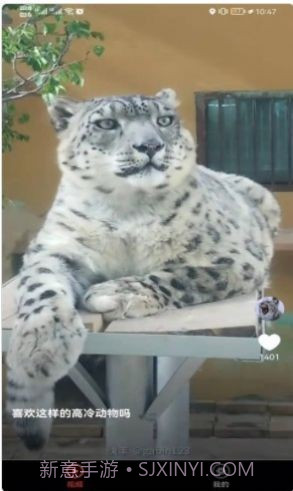 宠物趣看截图4 宠物趣看截图4