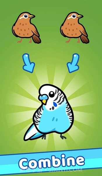 放置鸟乐园截图2