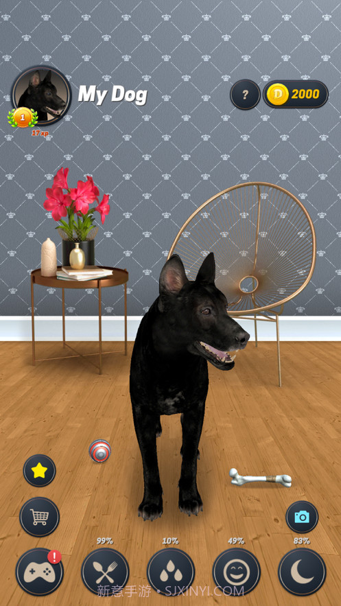 我的狗截图3 我的狗截图3