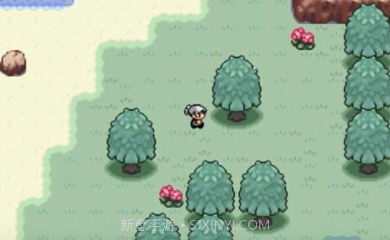 口袋妖怪火箭队截图3