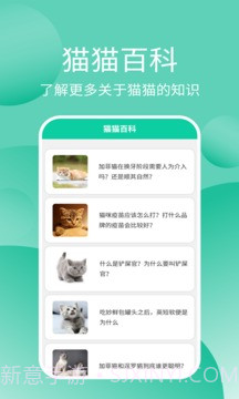 猫猫交流工具截图4 猫猫交流工具截图4