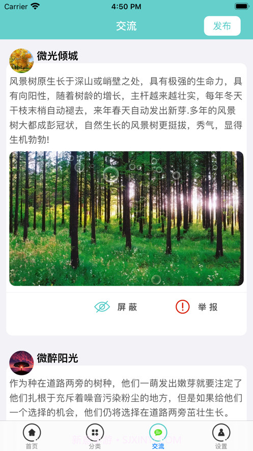 知树截图5