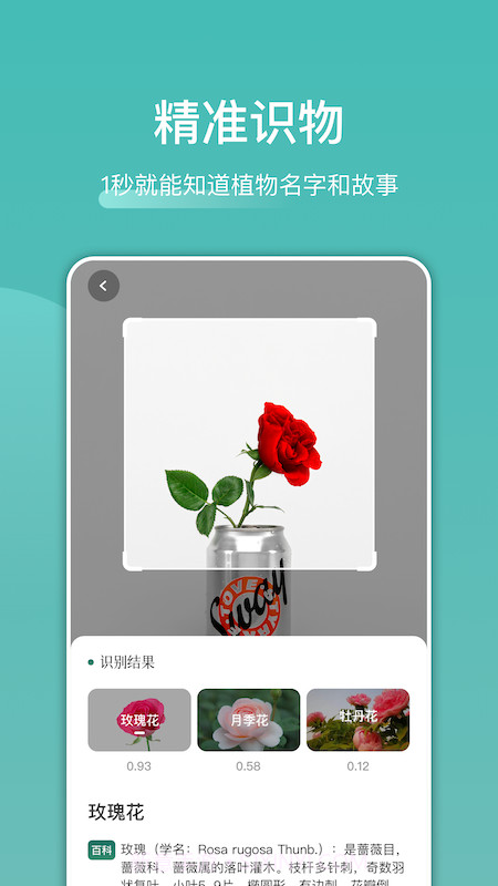 识花识物截图3