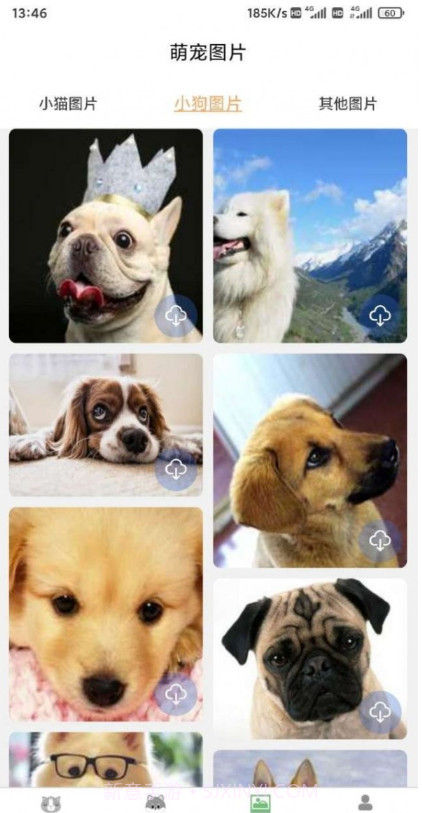 云宇猫狗翻译截图3 云宇猫狗翻译截图3