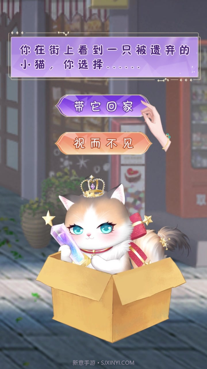 我的灵宠是只猫截图2 我的灵宠是只猫截图2