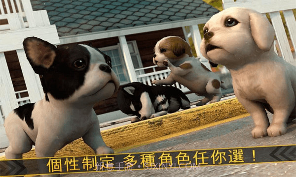 超级小汪大闯关截图2