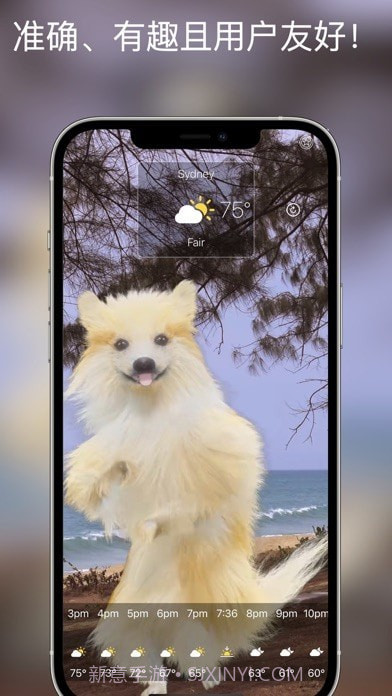 狗天气直播截图5 狗天气直播截图5