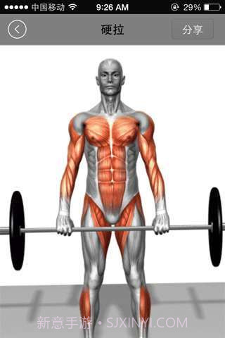 健美宝典截图3