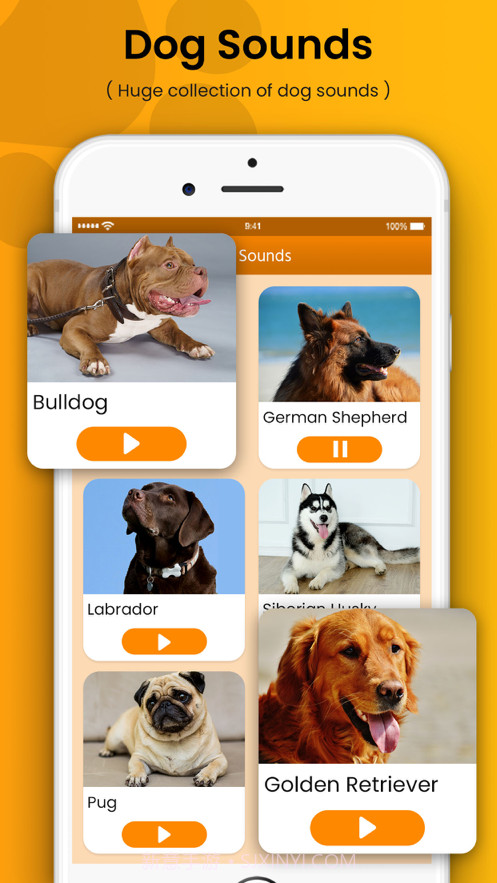 狗训练答题器和噪音截图2 狗训练答题器和噪音截图2