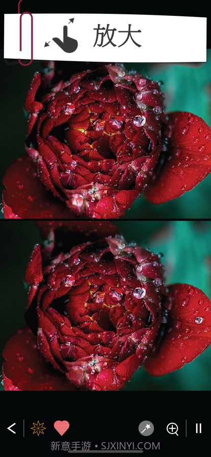 找不同1000+关卡截图5 找不同1000+关卡截图5