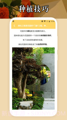 小小花店种养截图1