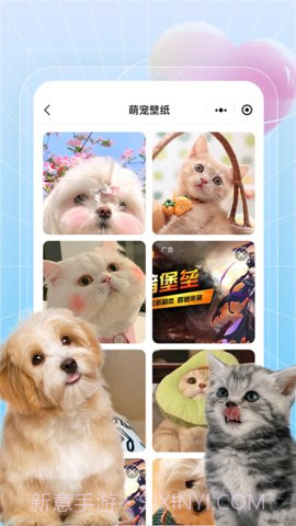 美好生活壁纸秀截图4 美好生活壁纸秀截图4