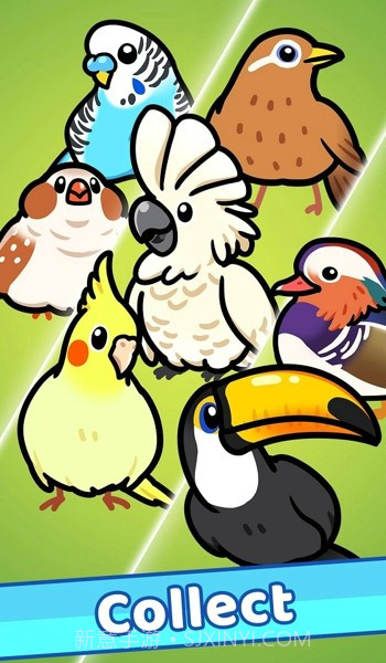 放置鸟乐园截图5
