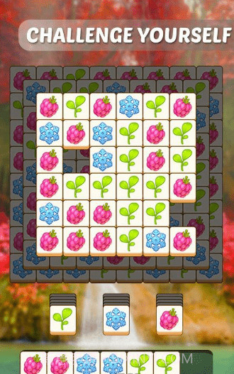 植物们配对截图4 植物们配对截图4