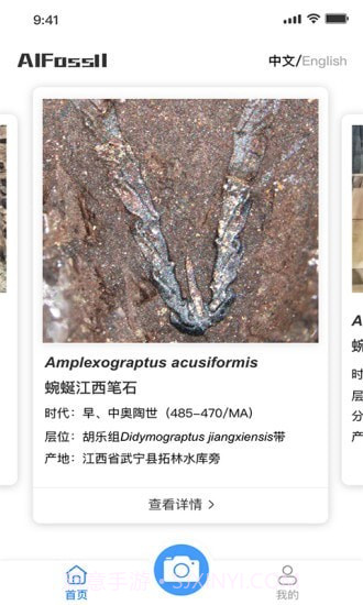 AIFossil截图3 AIFossil截图3