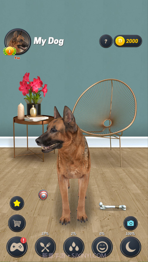 我的狗截图1 我的狗截图1