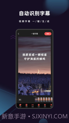 爱字幕2021截图1