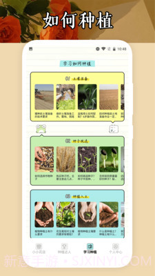 小小花店种养截图3