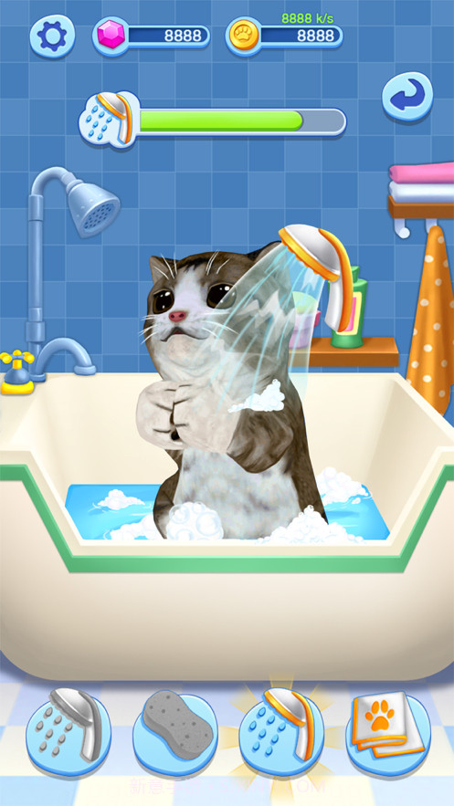 宠物大乐园截图3