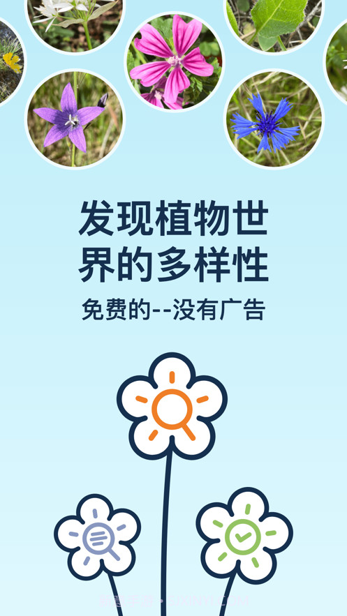 Flora Incognita植物识别截图1 Flora Incognita植物识别截图1