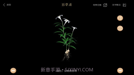 百草录截图2 百草录截图2