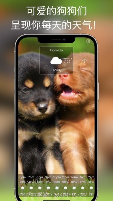 狗天气直播截图2 狗天气直播截图2