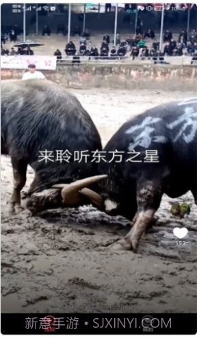 宠物趣看截图1 宠物趣看截图1