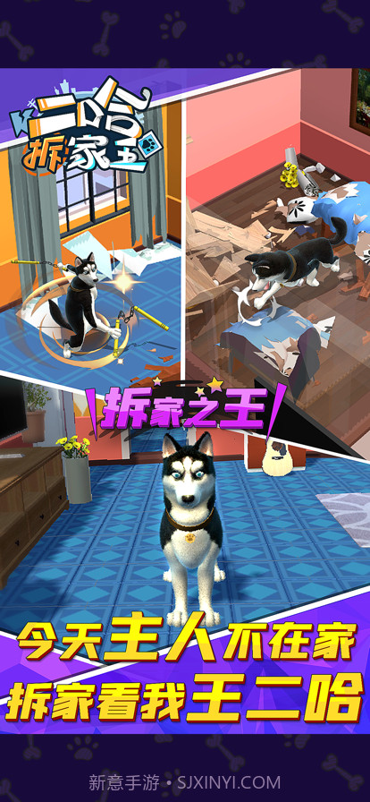 二哈拆家王截图4