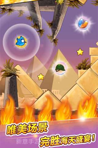 呆鸟也疯狂截图3 呆鸟也疯狂截图3