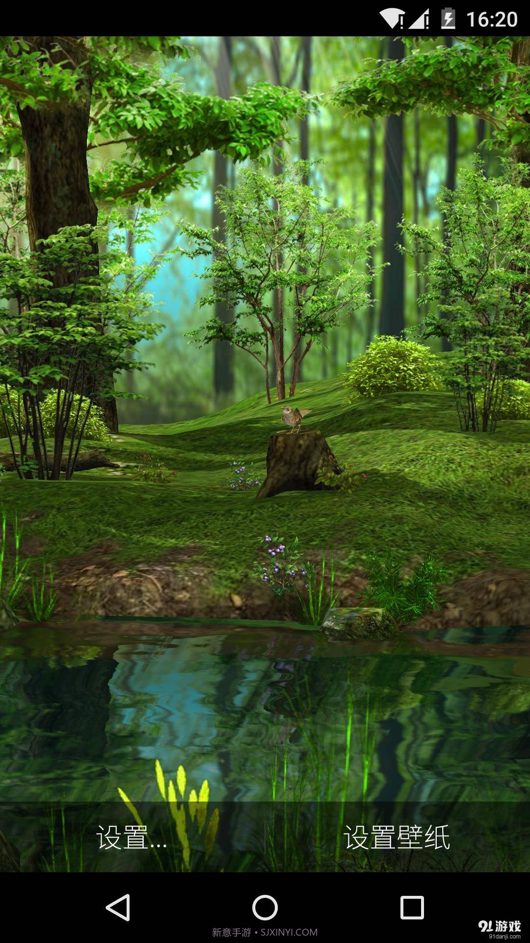 3D晨光森林截图1