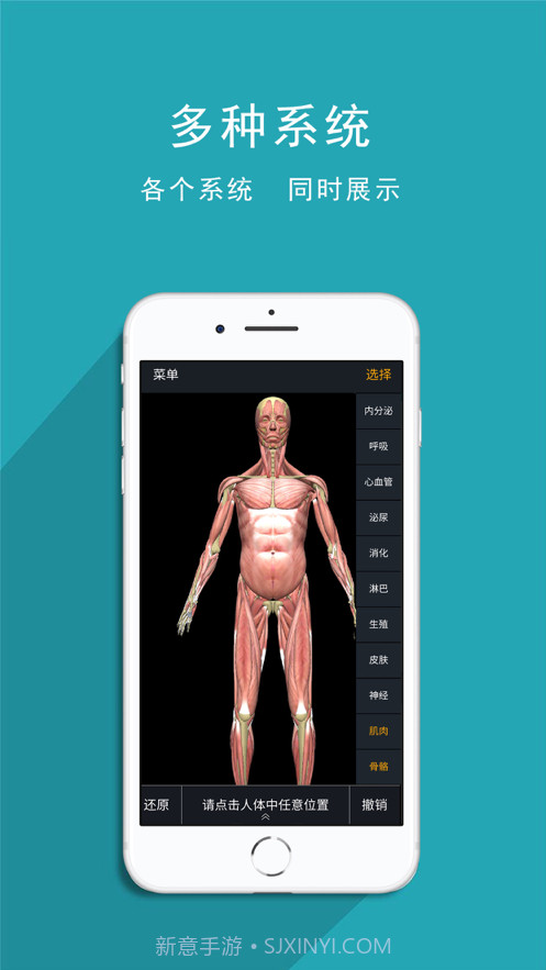 人体护理截图3 人体护理截图3