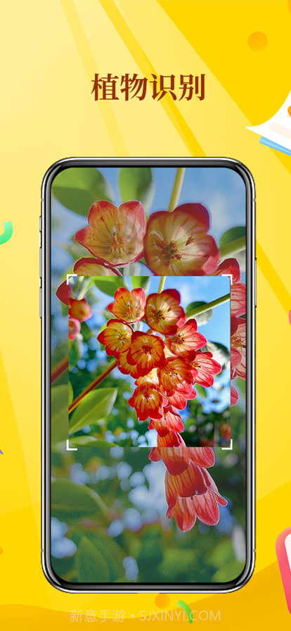 拍照识物截图3 拍照识物截图3