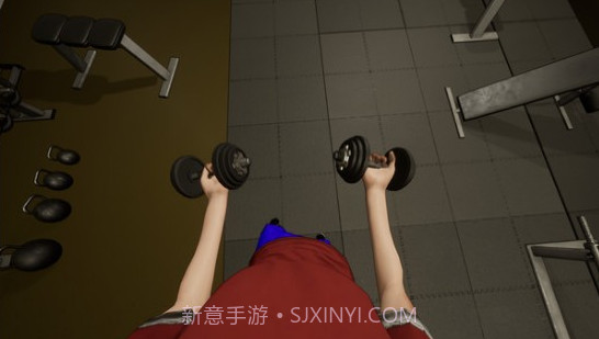 健身房模拟器与妹子截图1